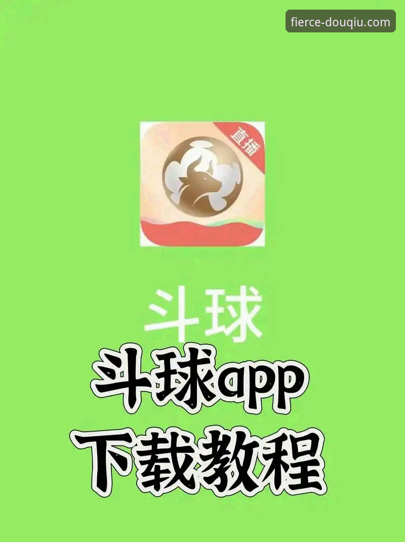 斗球官方渠道教程：从下载到观看的完整指南